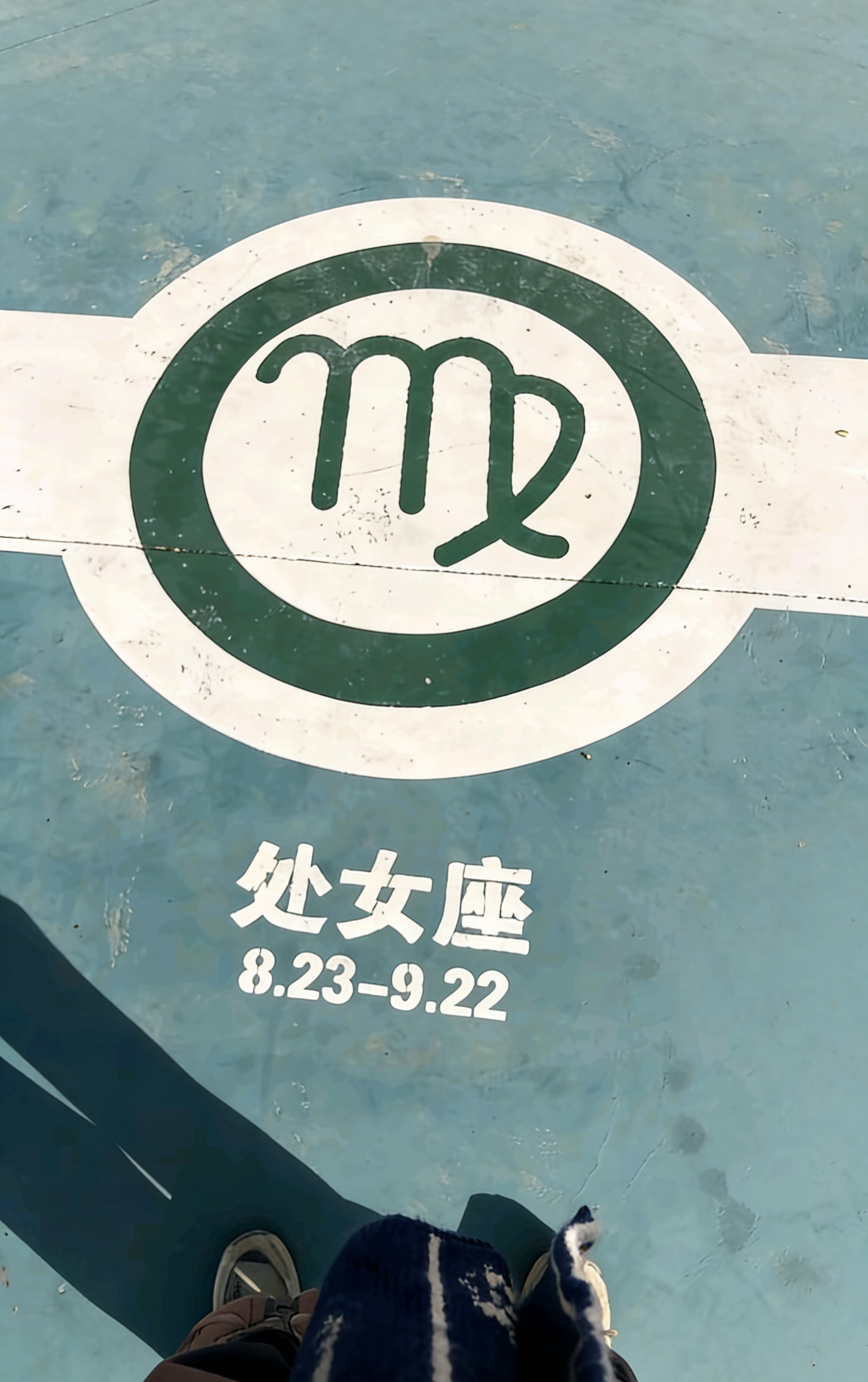 仙女座（08.23-09.22）